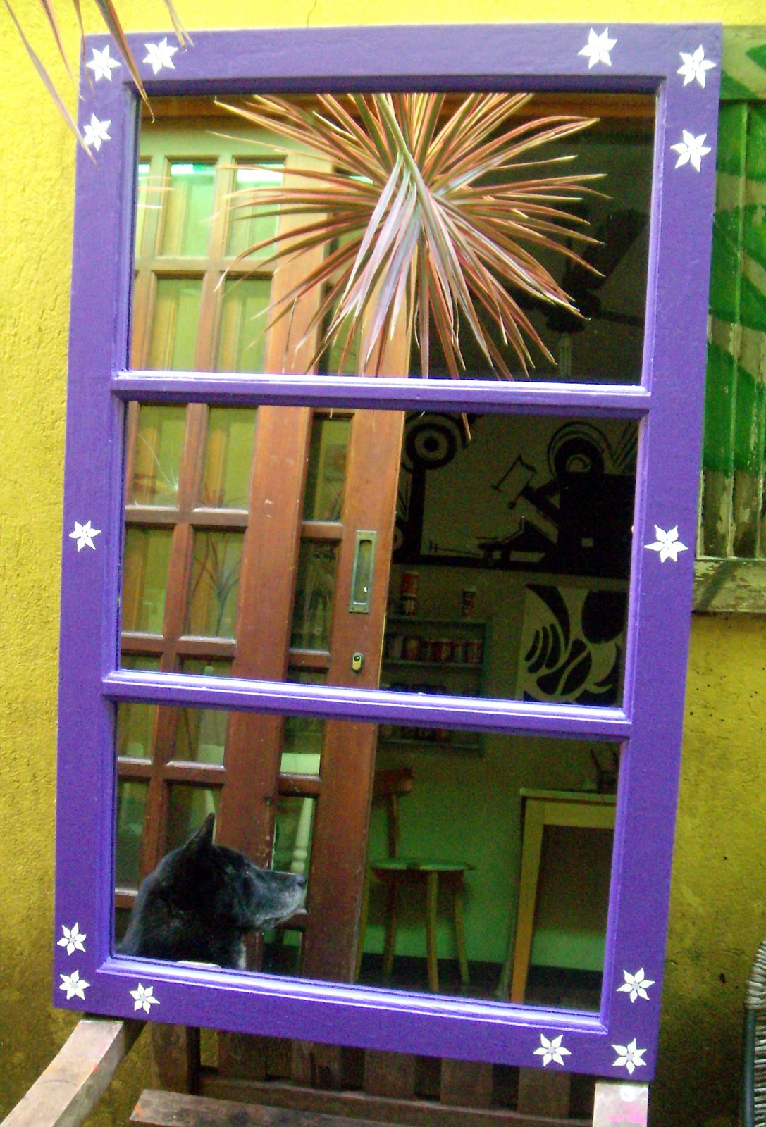 [DSCN5109.JPG]