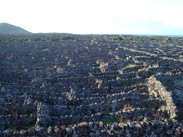 [DSC01053.JPG]