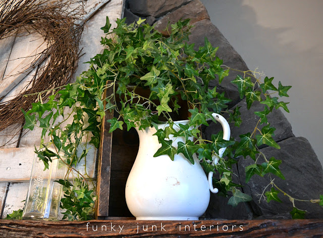 Plants In Fireplace