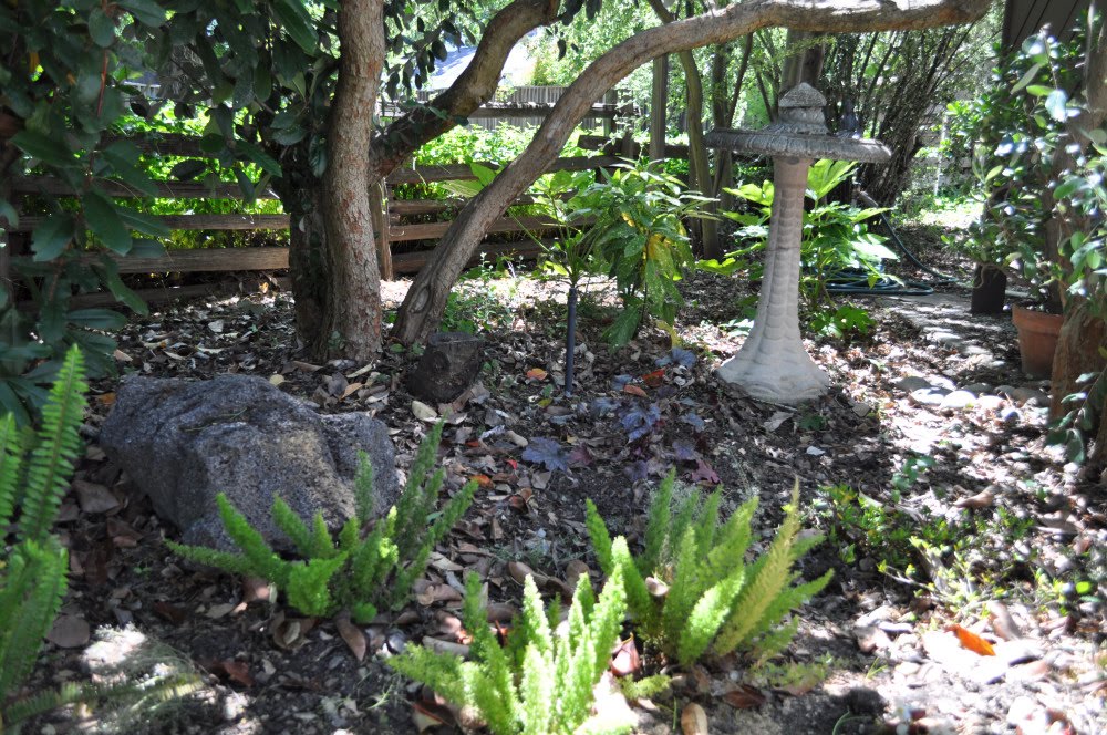 We didn't come here for the grass...: Guest Garden #3 - The art of
