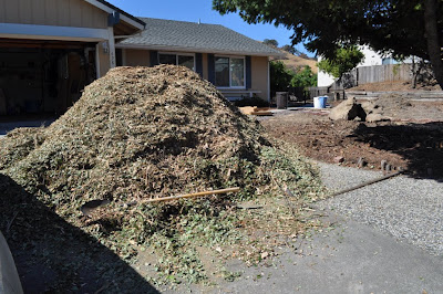 We didn't come here for the grass...: August 2010