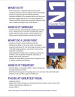 Download H1N1 Poster