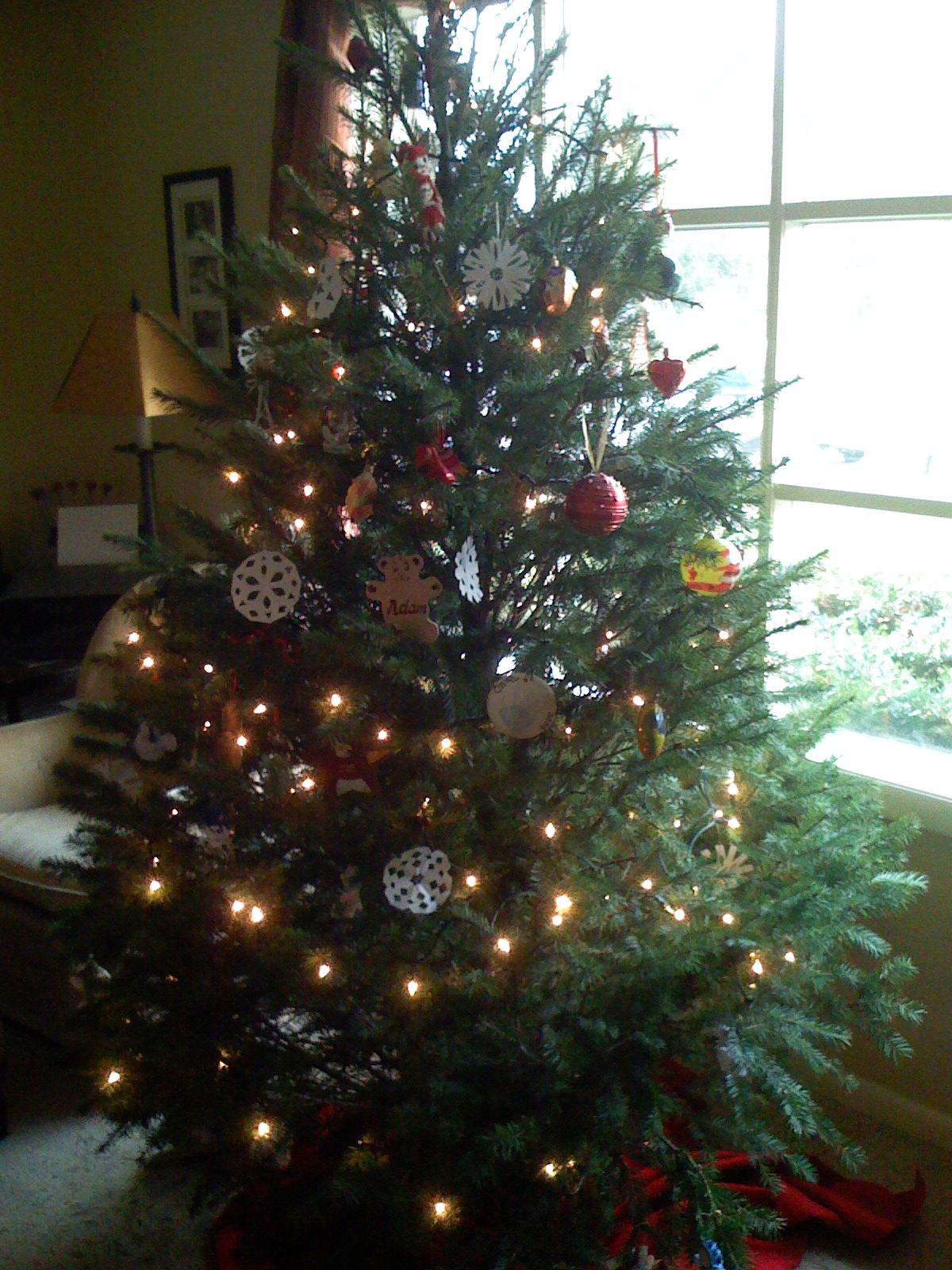 [full+tree.JPG]