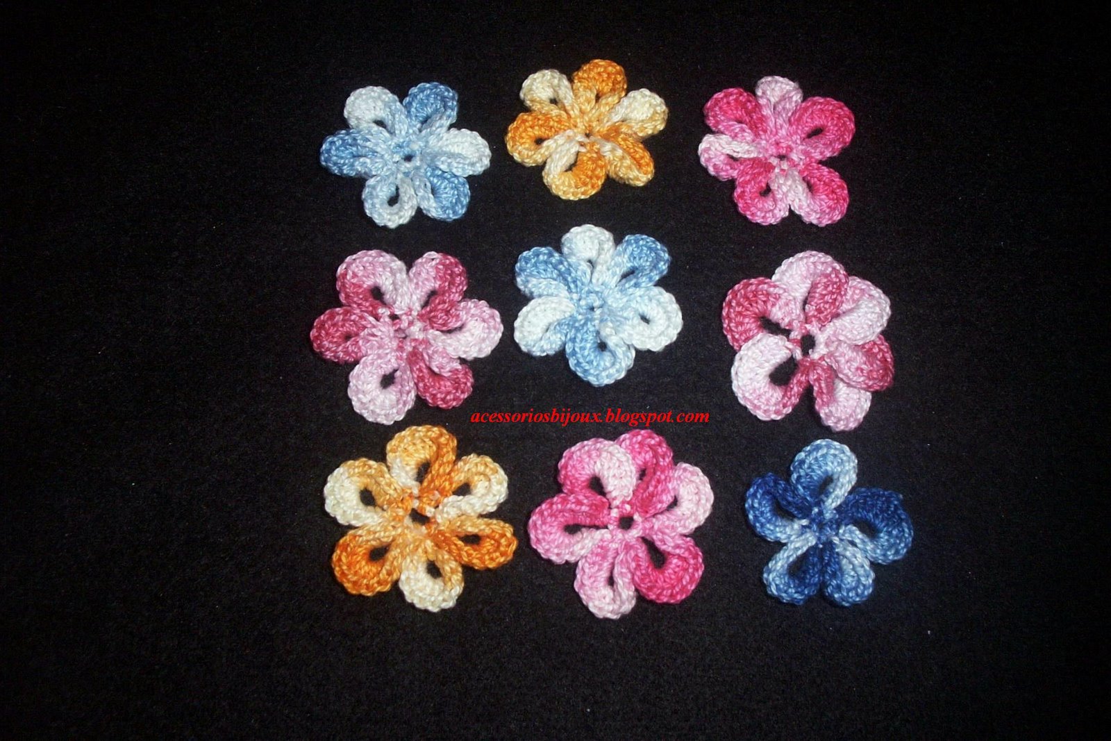 [flores+varias.JPG]