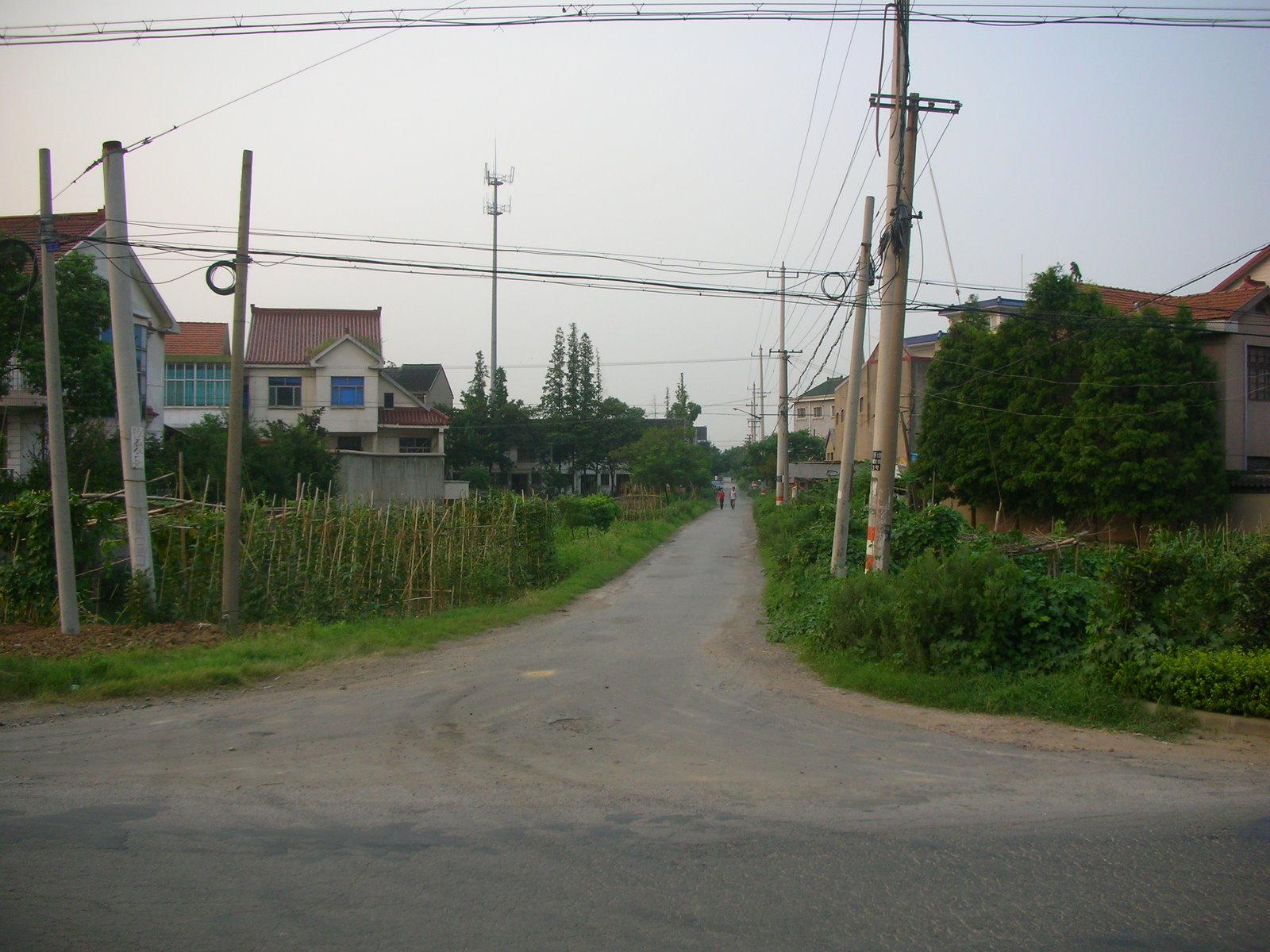 [DSCN5968.JPG]