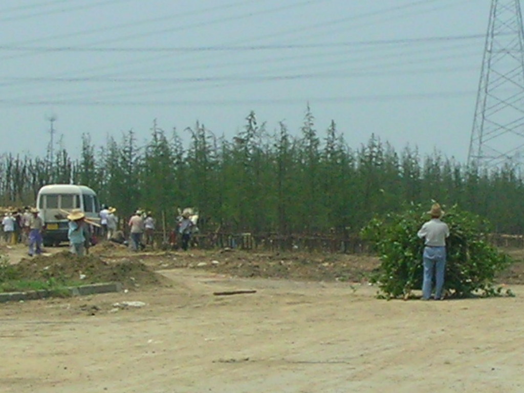 [RSCN8292.JPG]