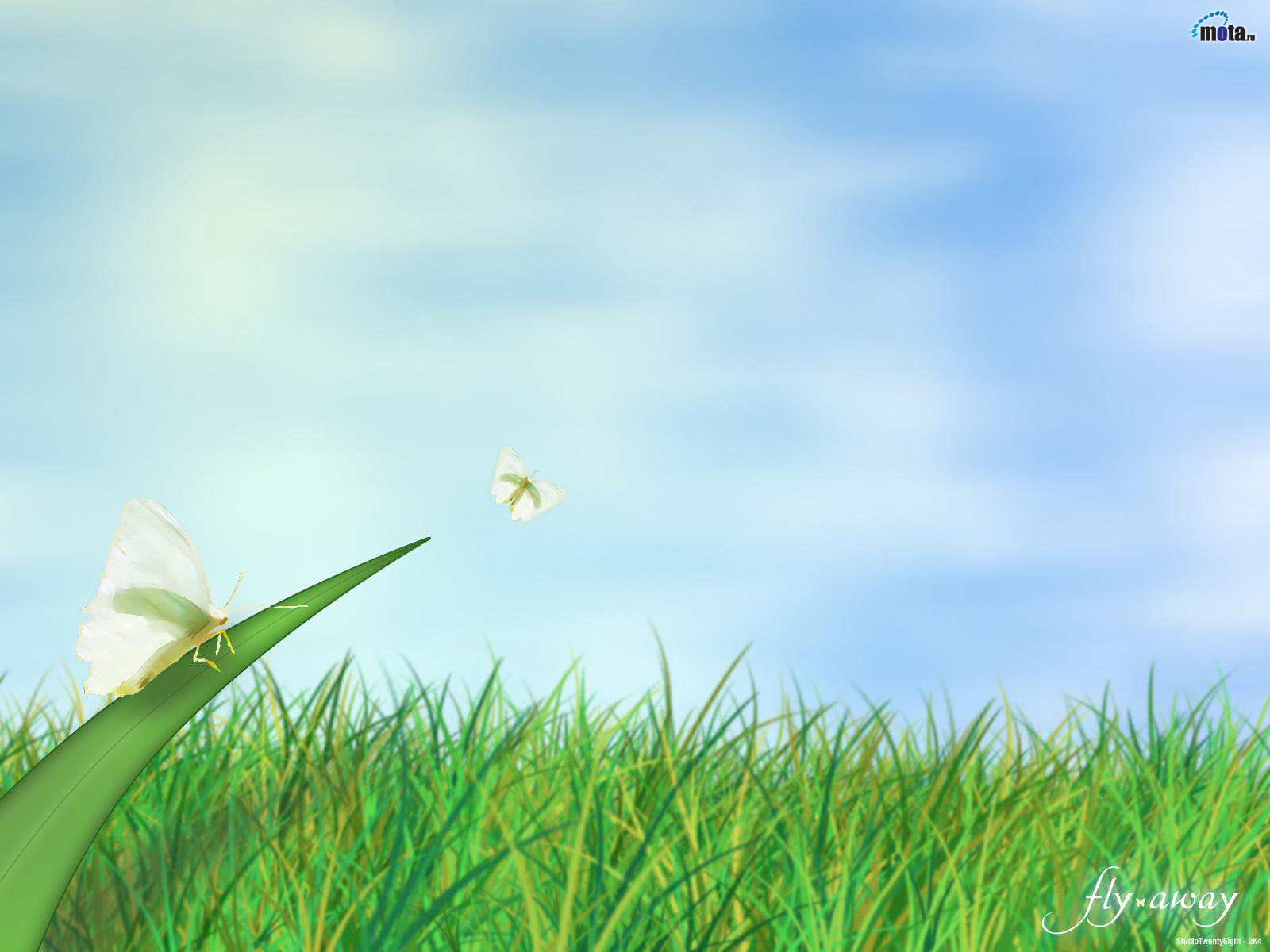 Rehan+khan+wallpapers