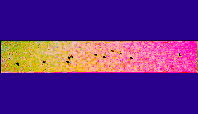 Psychographs and Vision