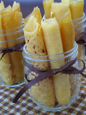 Food Dehydrator Recipes