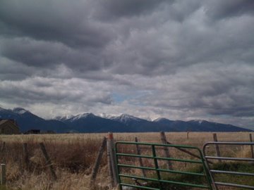 [IMG_0194.jpg]