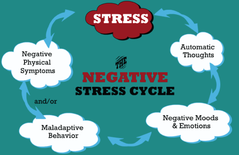 [Negative+Stress+Cycle.png]