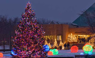 Christmas LED Lights