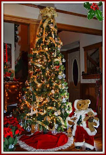 Christmas Trees 2009