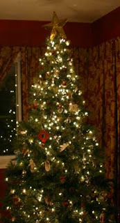 Christmas Trees 2009