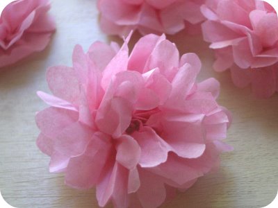 [tissue+flowers+2.jpg]