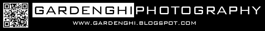 Gardenghi Photography