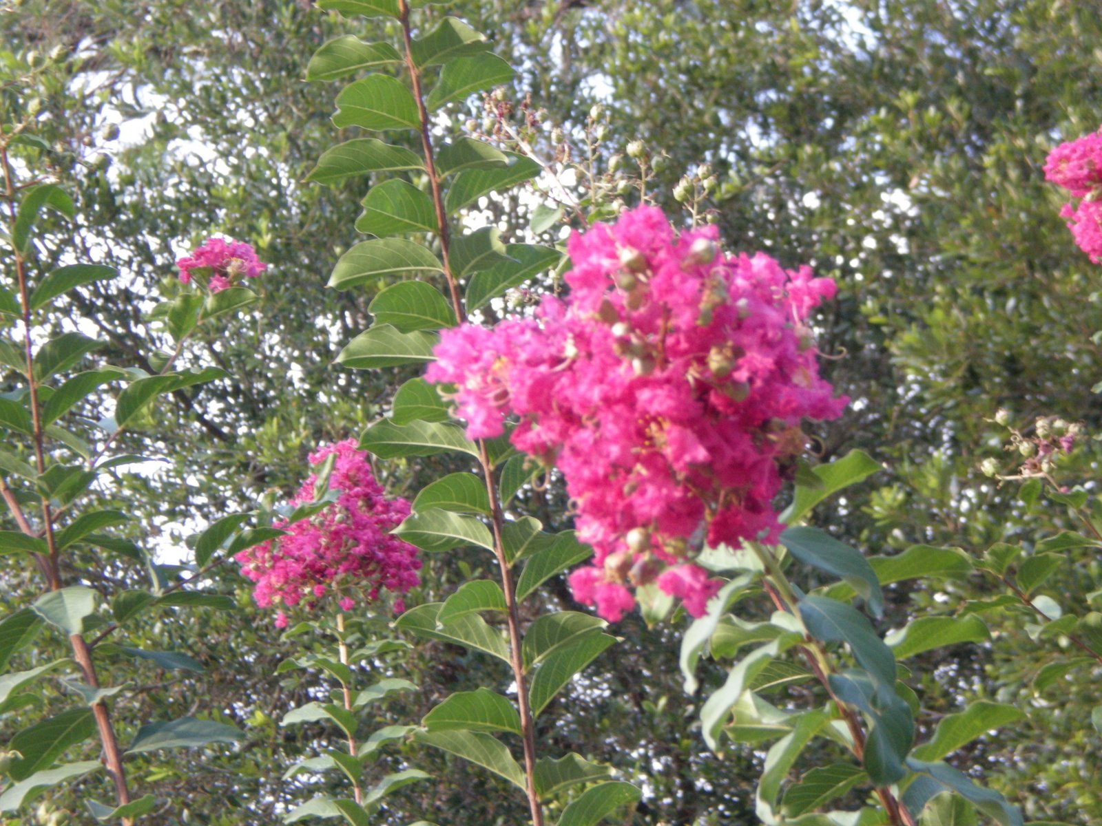 [DSCN0188.JPG]