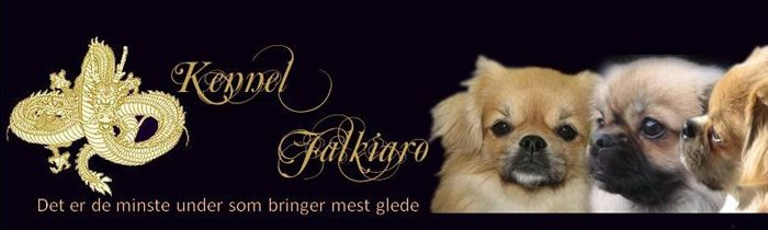 Falkiaros valper