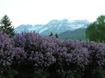 MAY  IN MIDWAY, UT