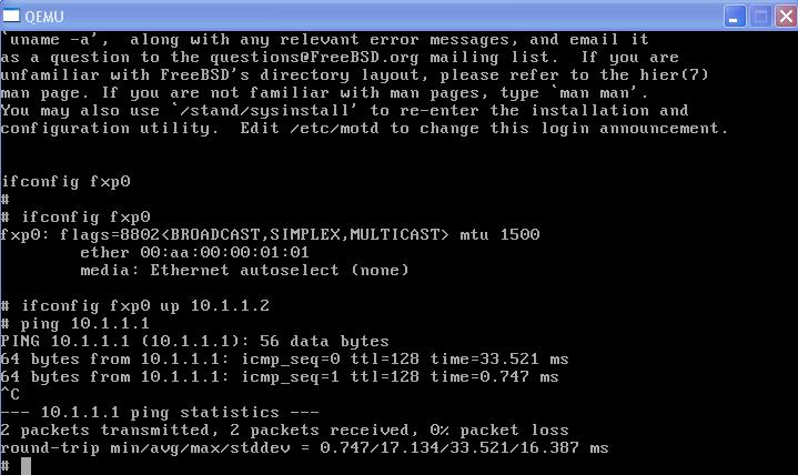[qemu-ping.JPG]