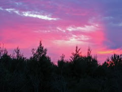 Central Minnesota sunset