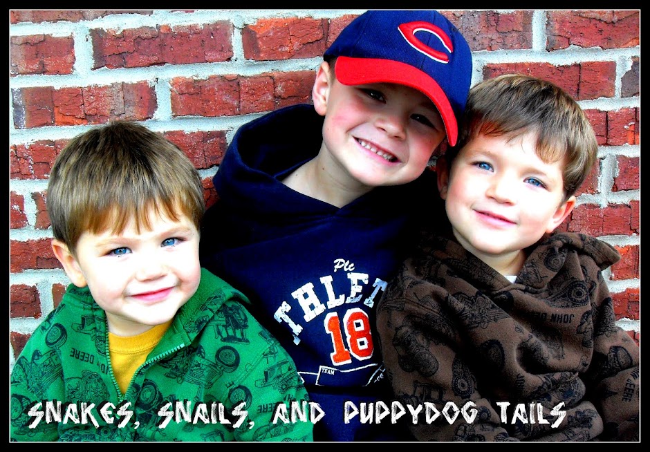 Snakes, Snails, and Puppydog Tails