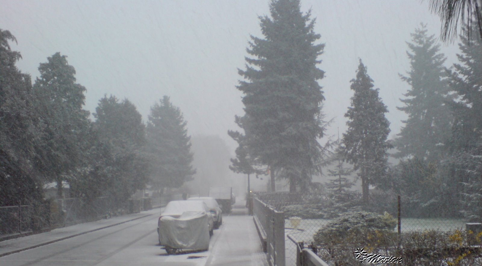 [schnee4.jpg]