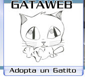 gata webb