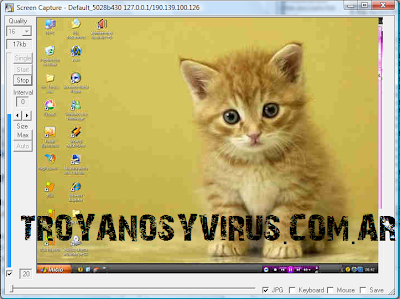 Hackear mediante troyano Hack+msn+3