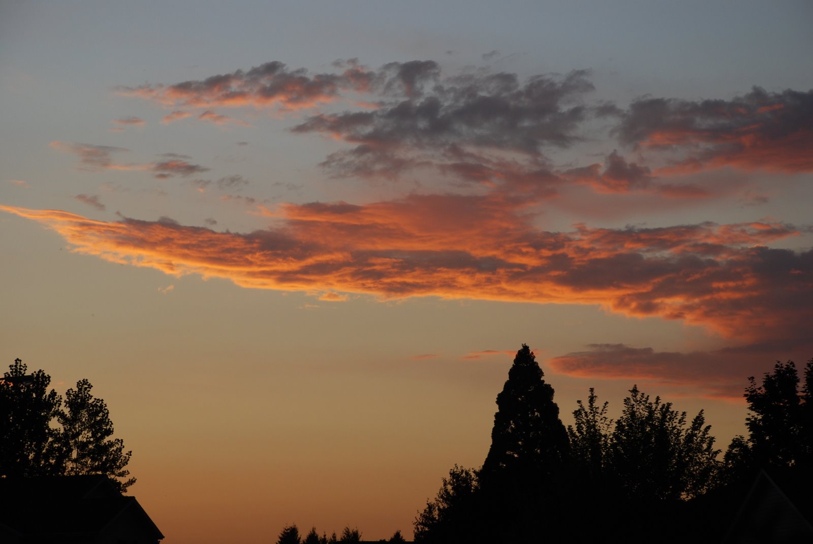 [DSC_0761.JPG]