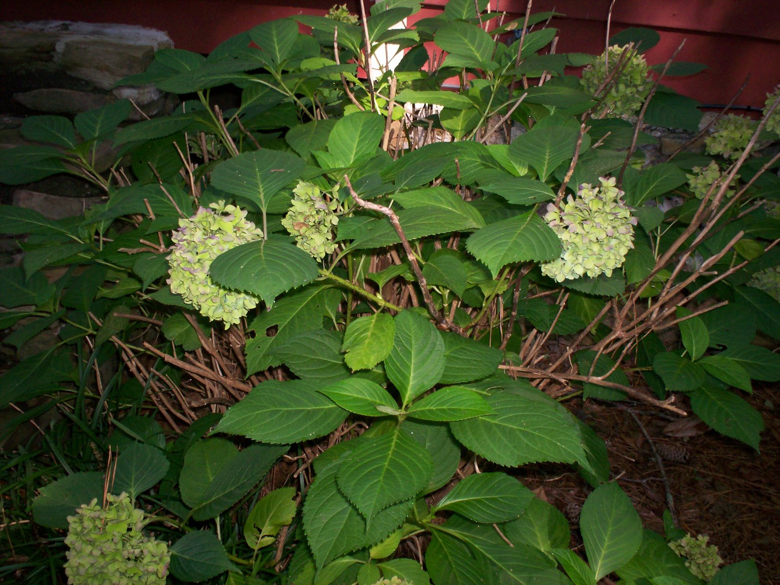 [100_0554.JPG]