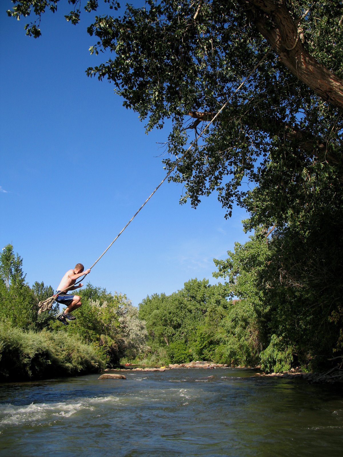 [Situner-Ropeswing1.jpg]