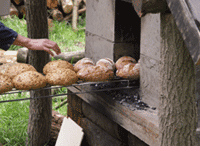 [featherdown6.gif]