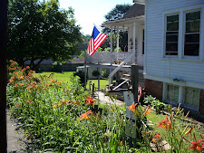 Homestead 2010