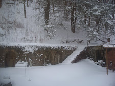 Winter of 2009