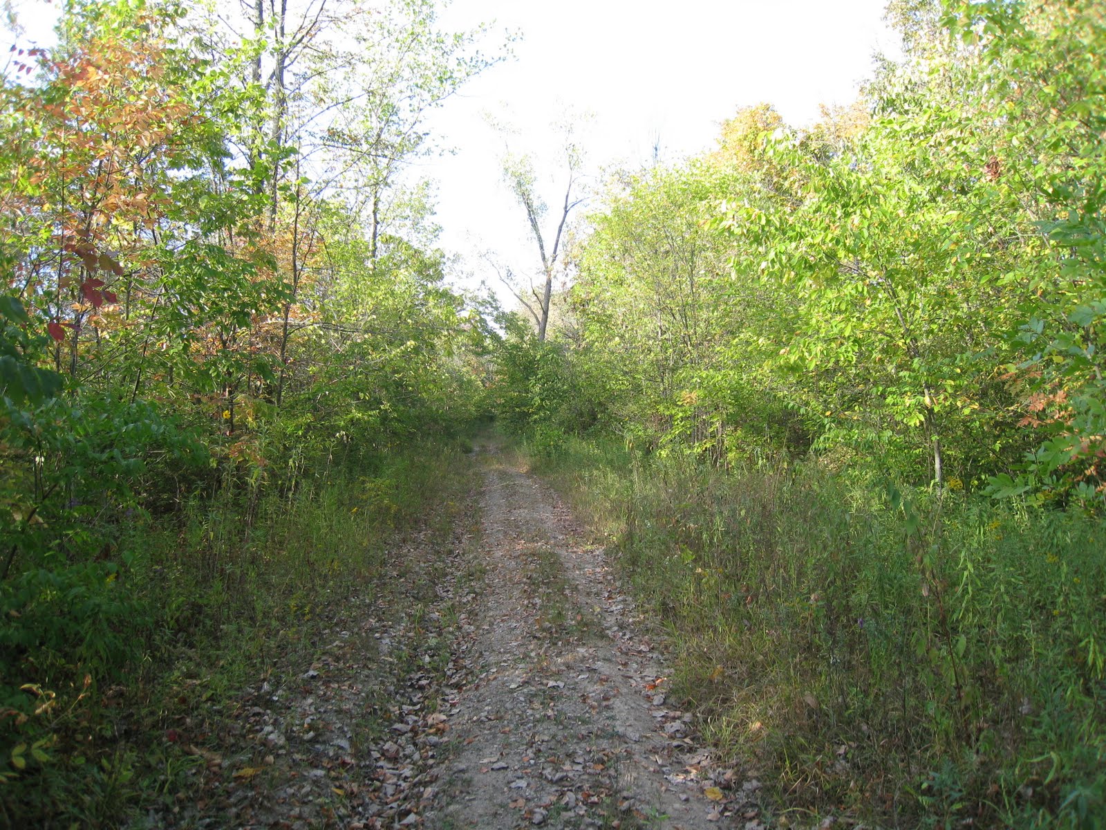 [IMG_1640.JPG]