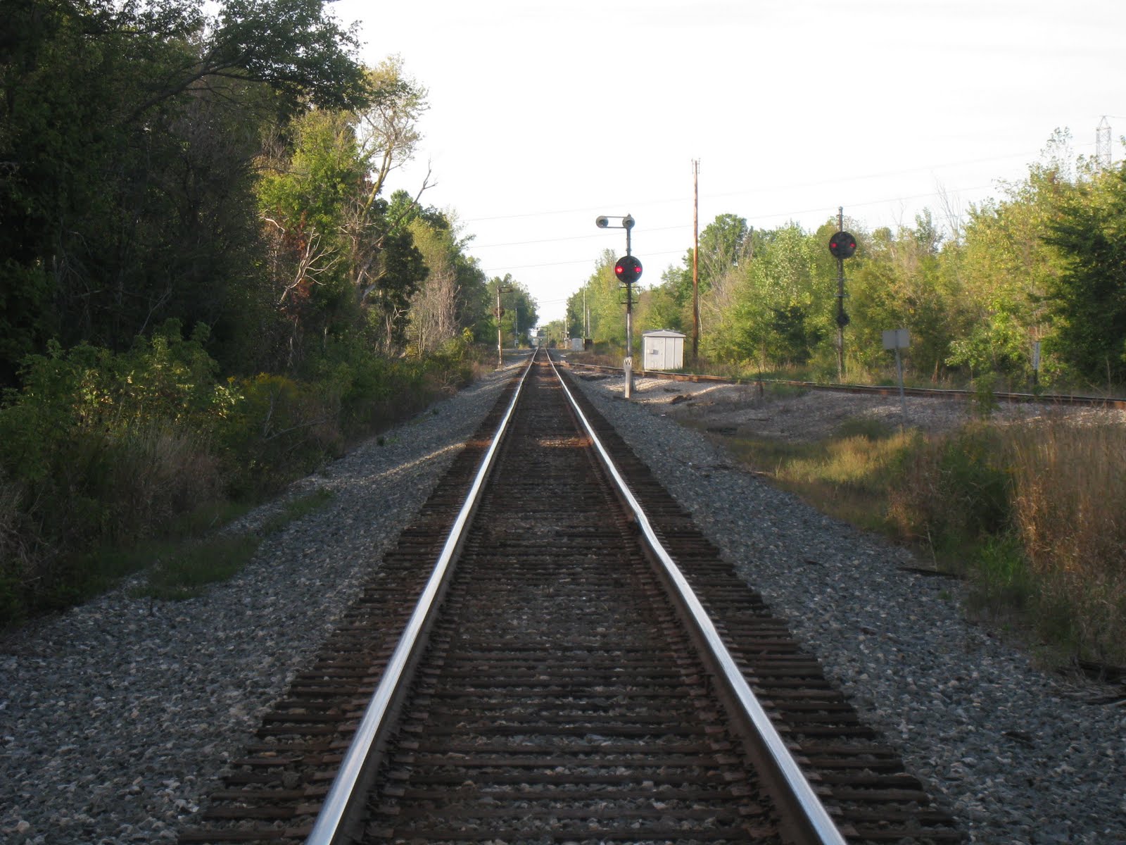 [IMG_1641.JPG]