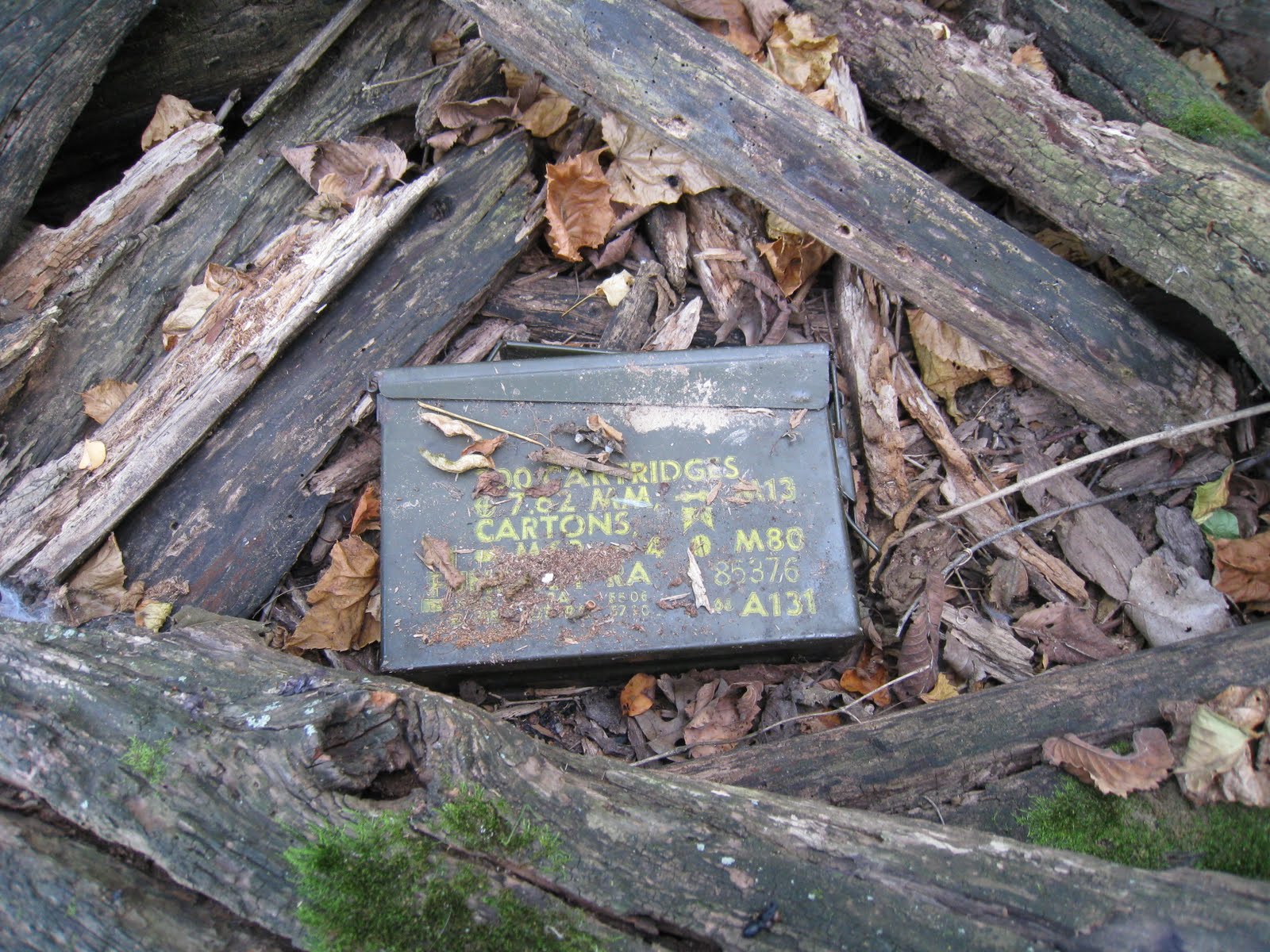 [IMG_1644.JPG]