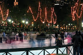 Ice Skating in the Park