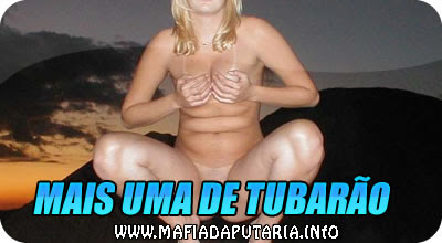 sexo em tubarão