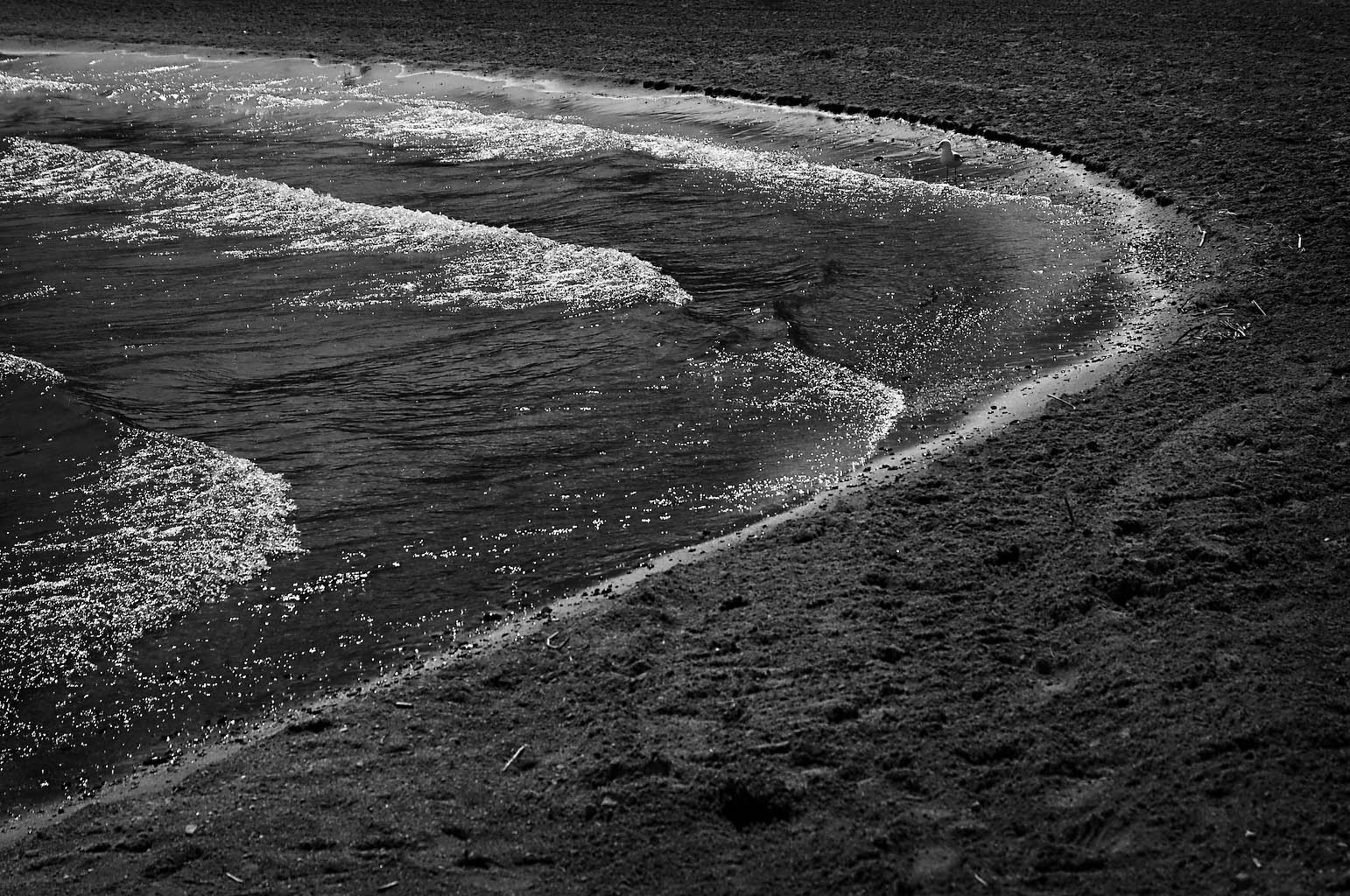 [shorehighlight.jpg]