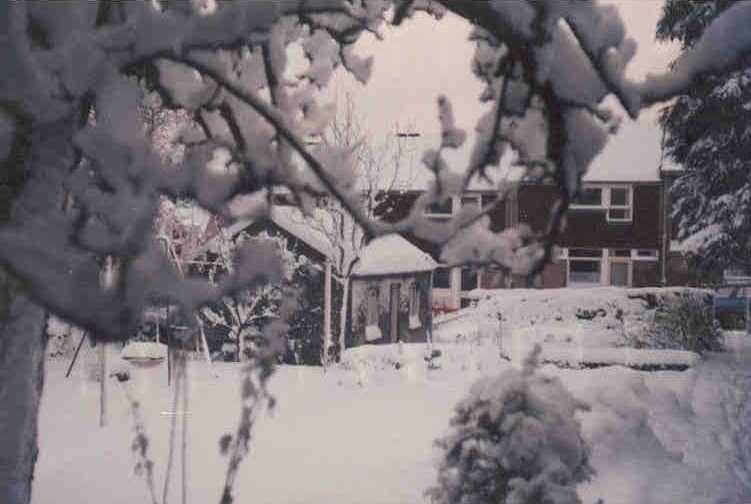[kincards_garden_winter.jpg]