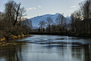 Nicomen Slough, BC, Canada