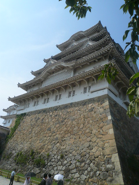 [P1010661.JPG]