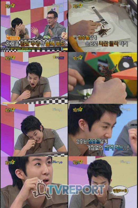 Are Tarantulas Poisonous