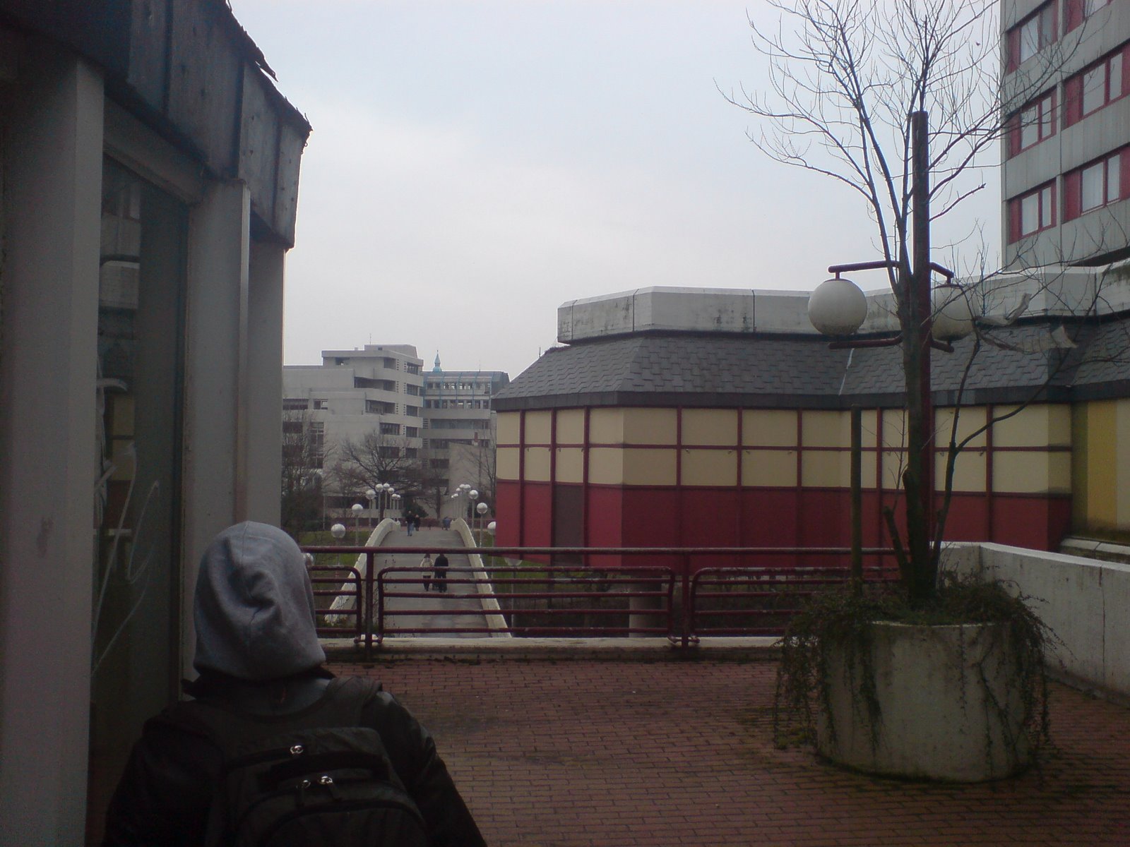 [DSC00010.JPG]