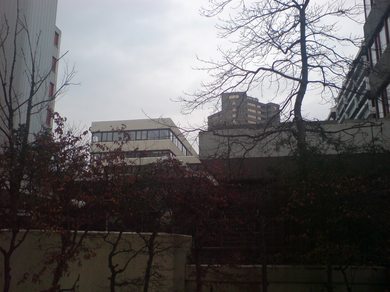 [DSC00011.JPG]