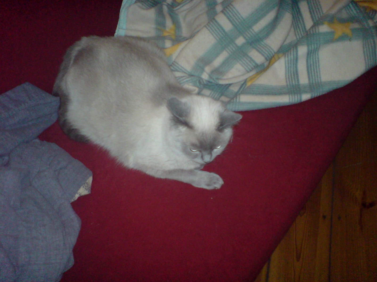 [DSC00023.JPG]