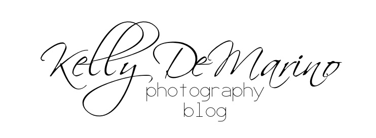 Kelly DeMarino's Photography Blog