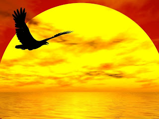 radical forgiveness, courage to forgive, forgiveness hawaii, forgiveness coach